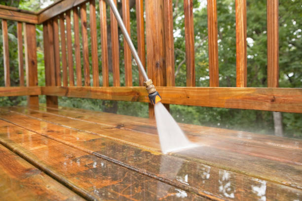 Best Gutter Cleaning  in Fort Washakie, WY